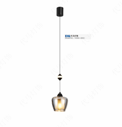Luxury Ceiling light 10096-1-BKS