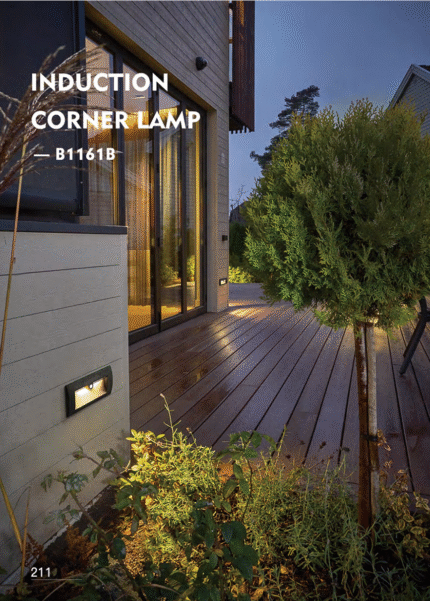 Outdoor Induction Corner Lamp B1161B